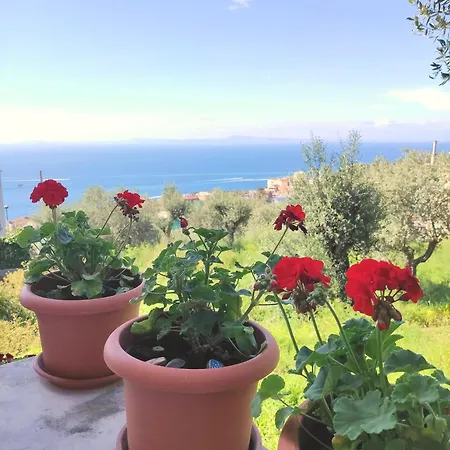 The Sirens' Refuge Apartamento Massa Lubrense